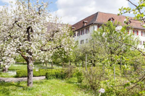 Гостиница Kloster Dornach / Basel  Дорнах